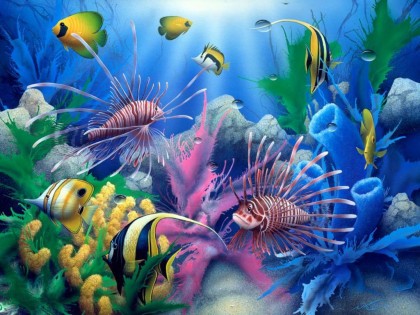 fish wallpapers