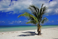 cuba-palm-beach-sea-island-sky