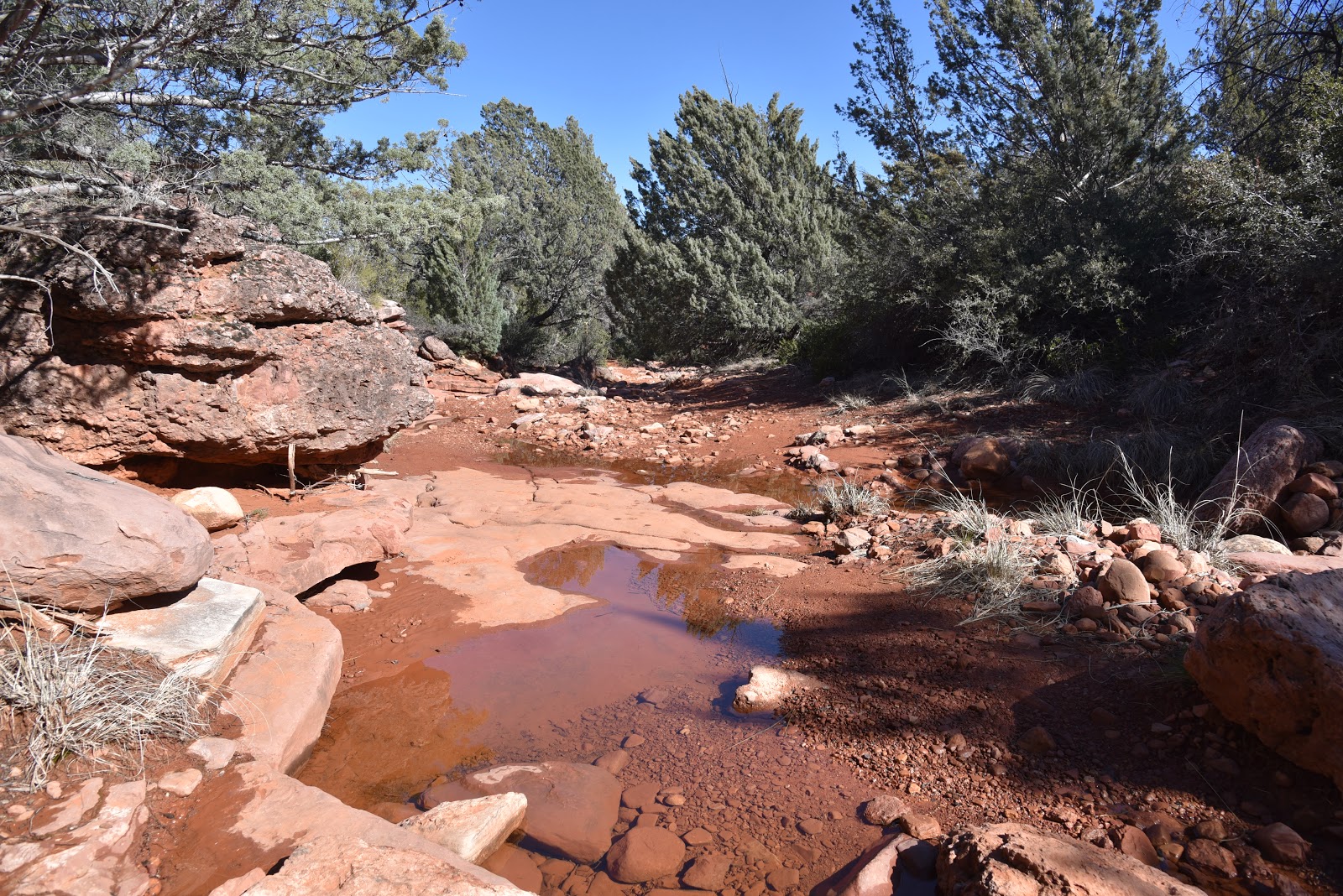 Arizona Hiking EASY BREEZY LOOP