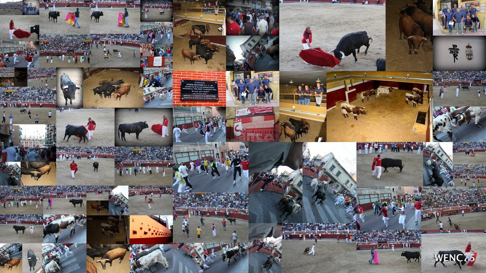 WENC75 Encierro de san Sebastián de los reyes