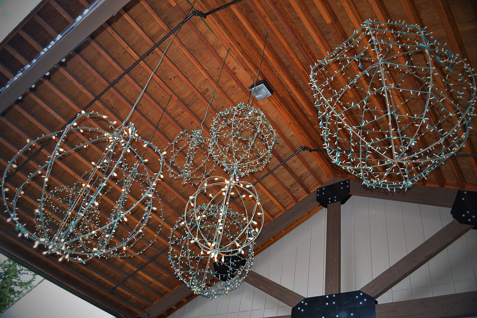 The Outlaw Gardener Sky Nursery Ushers in the Season!