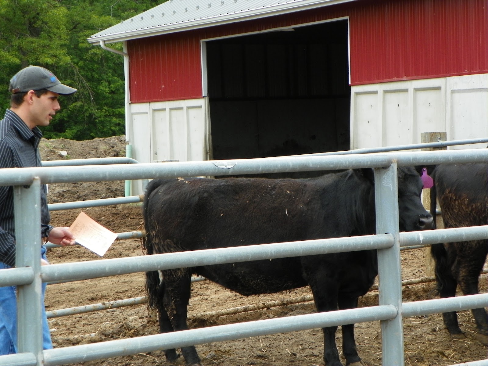 NOMADIC CHEF Blackbird Farm 4th Annual FarmtoChef Open House