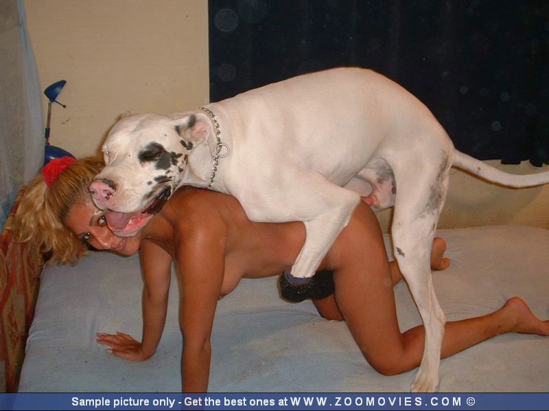 Girls Being Fucked By Animals - Women fucking dogs free - Babes