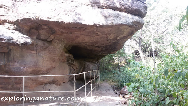 Bhimbetka- The Rock Shelters