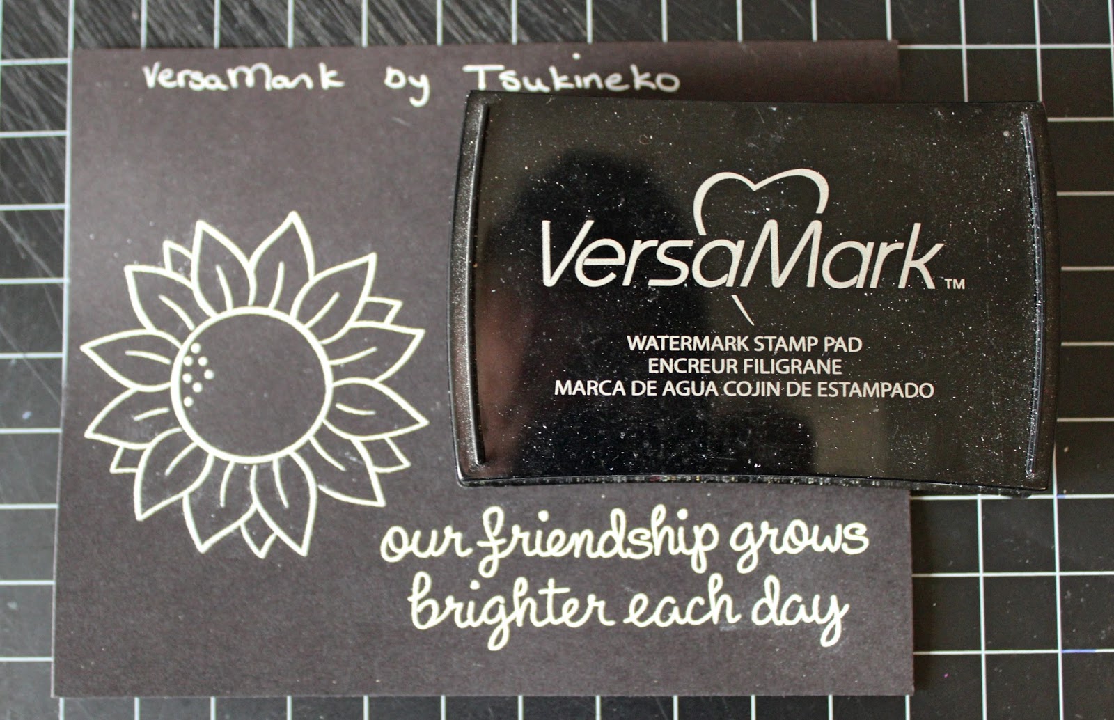 There's a Card for That Product Review Series Embossing Ink Comparison