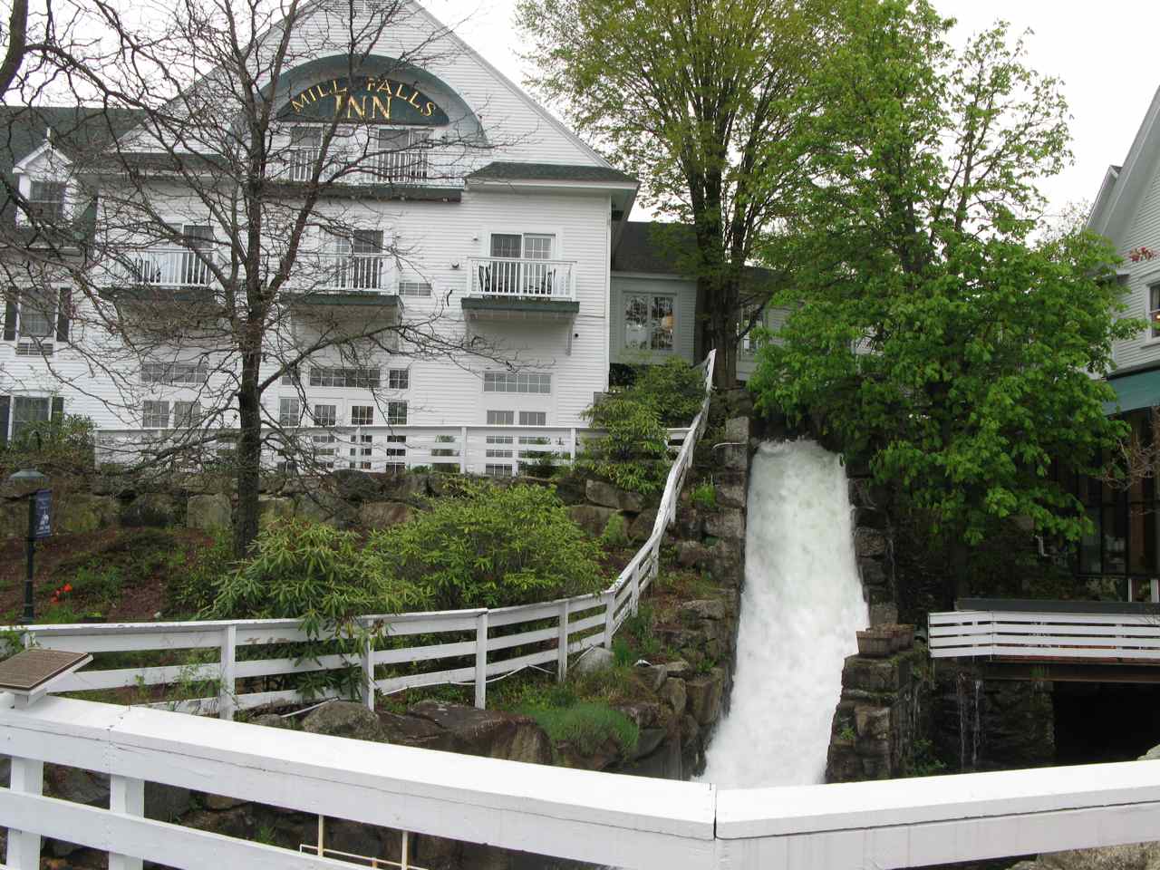 Florida Coalcracker Chronicles Greetings from Beautiful Meredith NEW