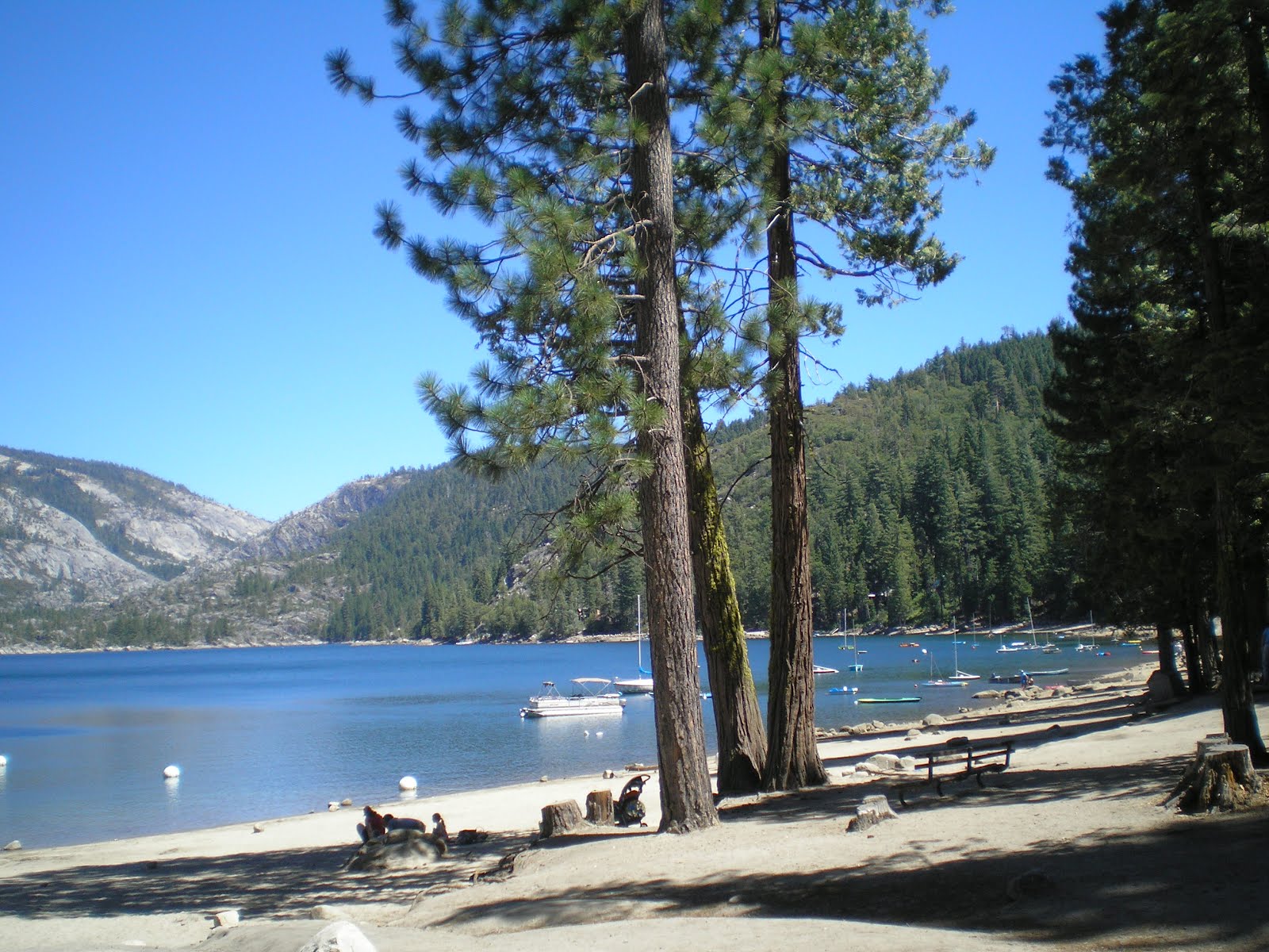 The Road Genealogist Pinecrest & Lyons Lakes, California