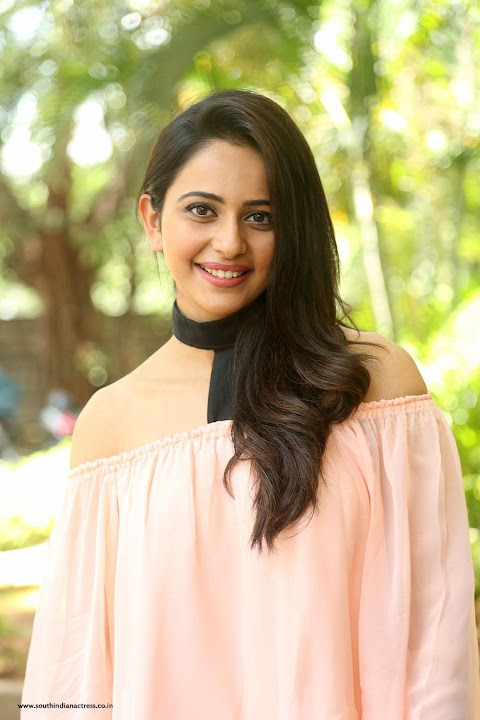 Rakul Preet Singh at Jaya Janaki Nayaka Success Meet