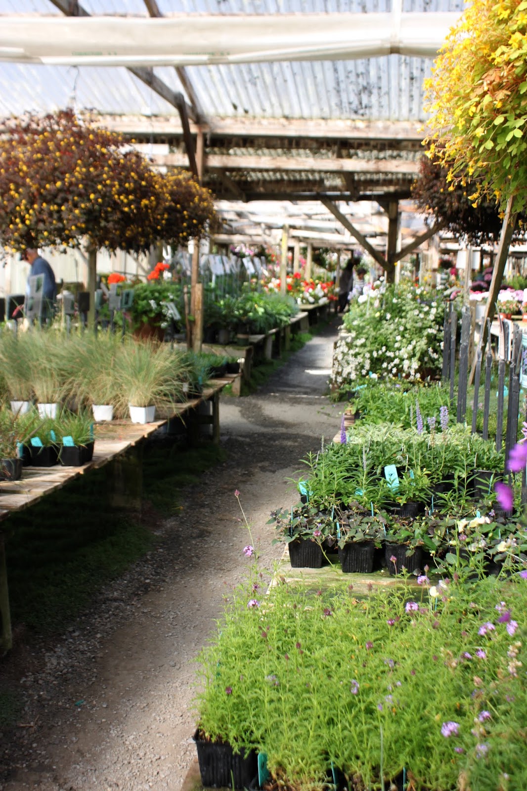 Half Moon Bay Nursery