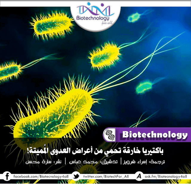 دراسة تشير إلى أن أنواع من البكتيريا تحمينا من العدوى البكتيرية المميتة
