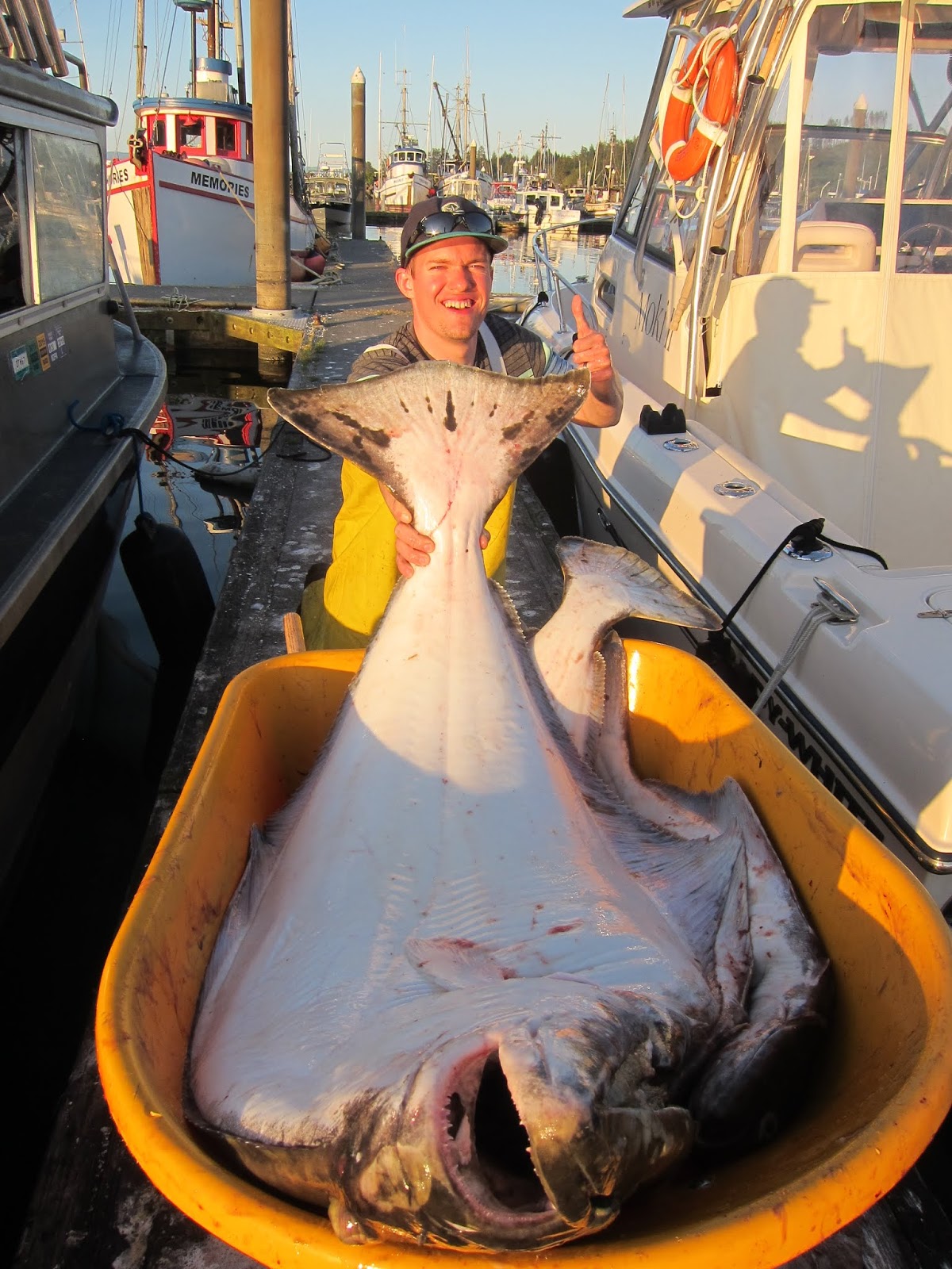 Todds Extreme Fishing Neah bay halibut, lingcod, and bottom fish!