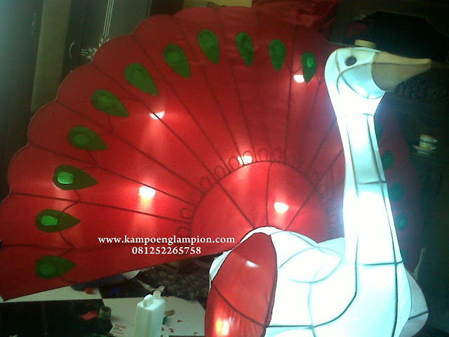 lampion merak