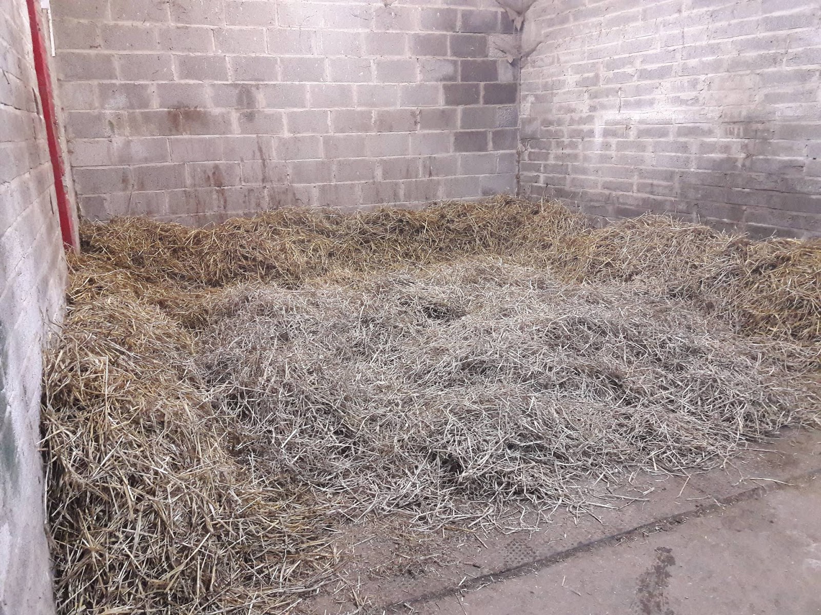 Tack N Tails Horses Bedding Preferences