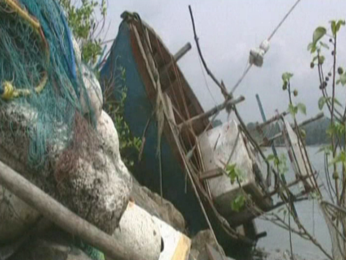 Japanese tsunami survivor stories