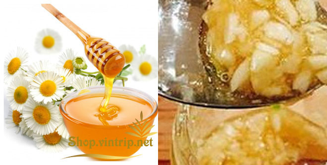 Bài thuốc chữa bách bệnh từ mật ong và tỏi ai cũng có lúc cần đến Bài thuốc chữa bách bệnh từ mật ong và tỏi ai cũng có lúc cần đến