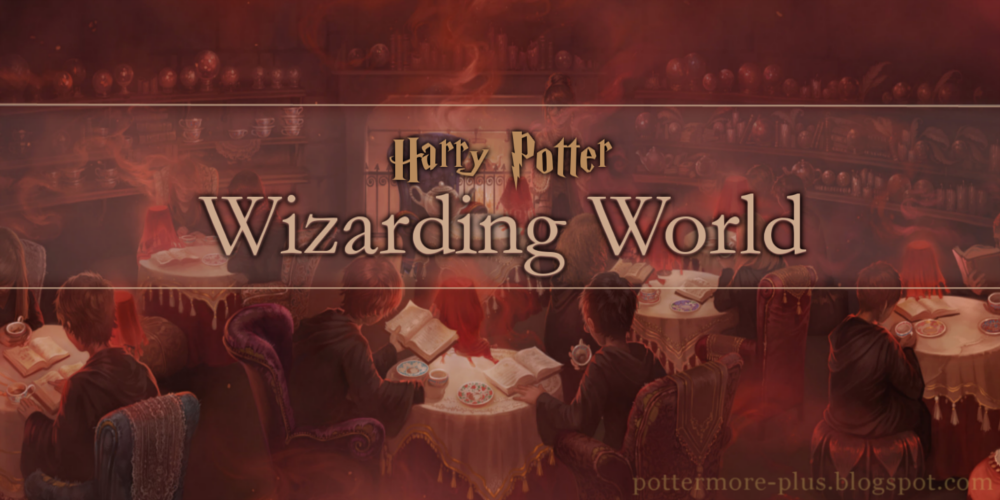 Wizarding World