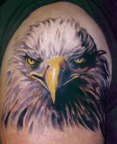 Eagle Head Tattoo Design Picture Gallery   Eagle Head Tattoo Ideas