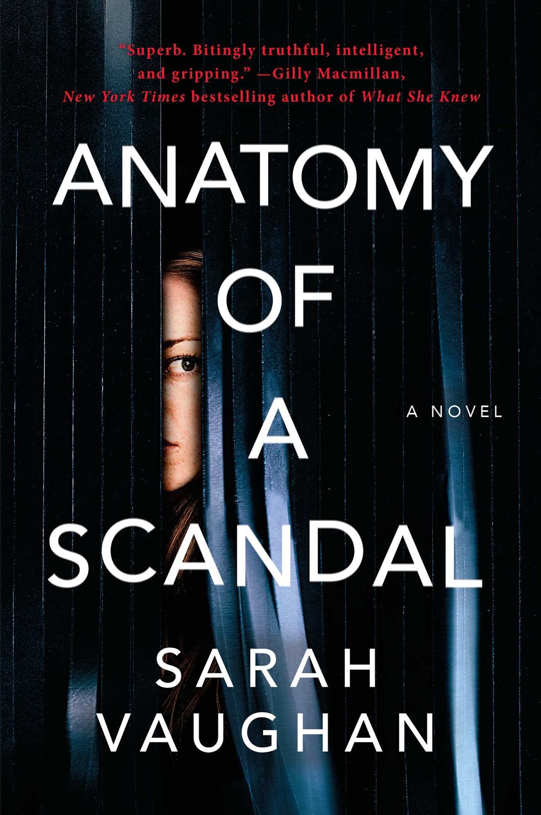 Belle Epoque 1899: Book Review: Anatomy of a Scandal by Sarah Vaughan