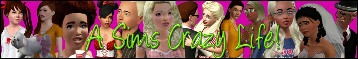 A Sims Crazy Life!