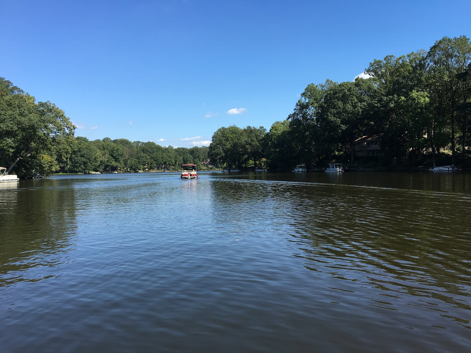 Mindenütt jóóó Amerikai álom(?) X. Lake Barcroft Falls Church