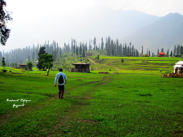 ARRANG KALE : NEELUM VALLEY