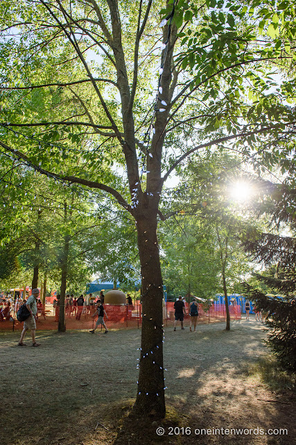 Hillside Festival at Guelph Lake Island July 22, 2016 Photo by John at One In Ten Words oneintenwords.com toronto indie alternative live music blog concert photography pictures