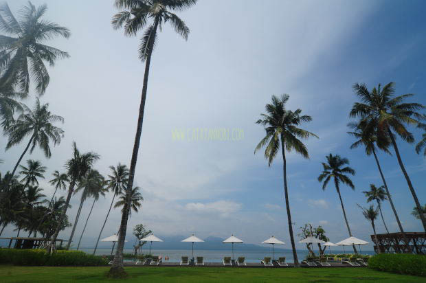 Dialoog Hotel Tempat Hening Menikmati Pesisir Pantai Banyuwangi Catatan Nobi