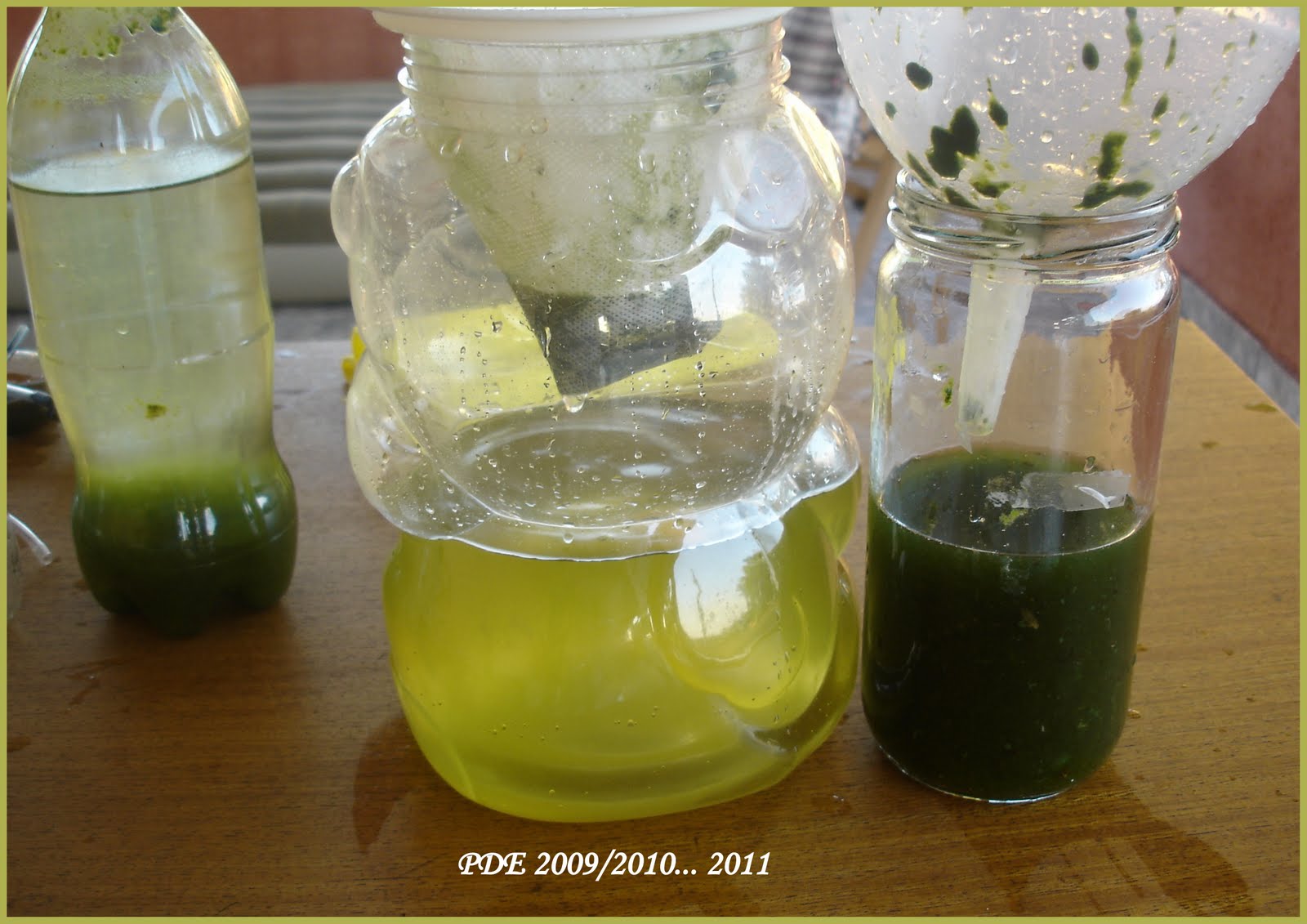 Cultivo de Microalgas em Fotobiorreatores: Biodiesel de Microalgas...