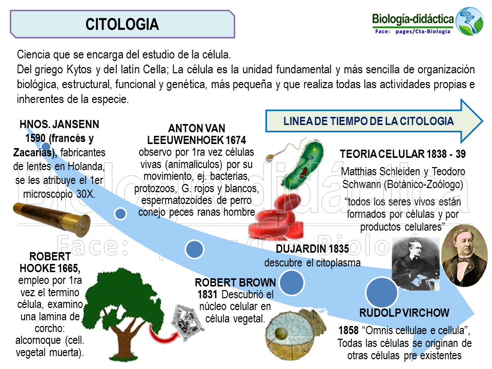 Biologia citologia