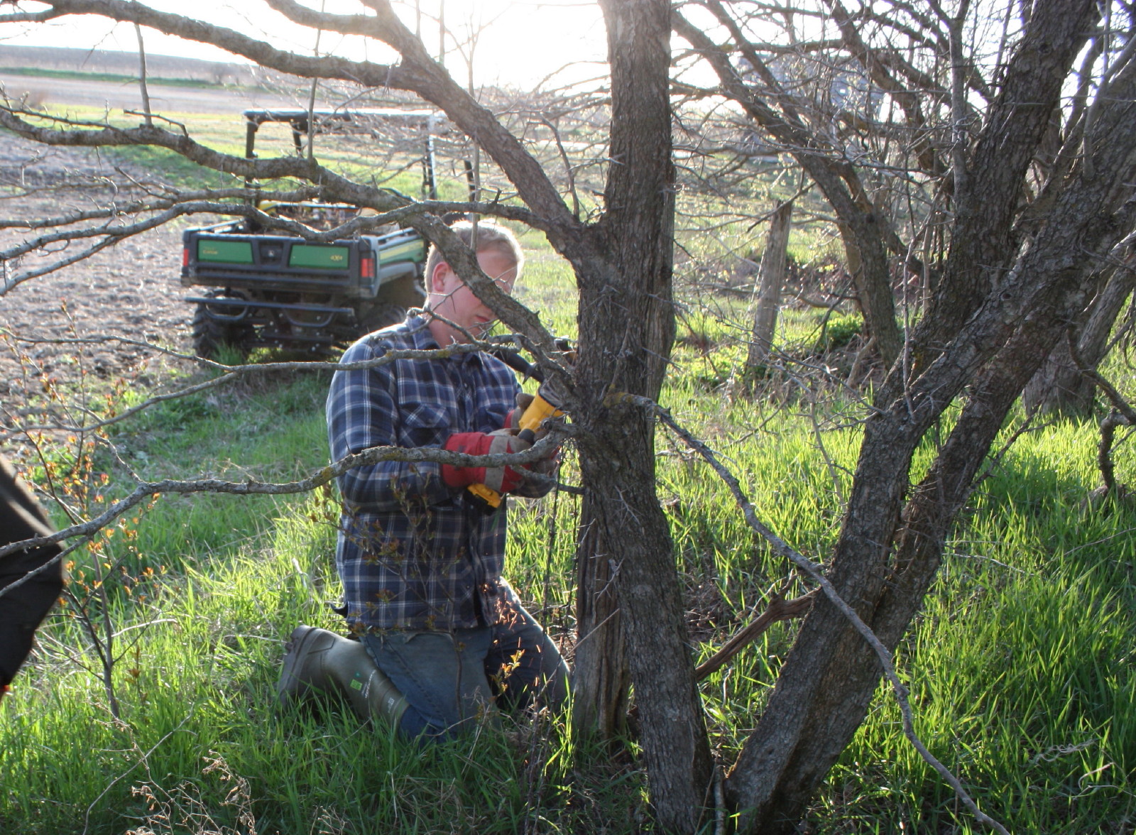 Anja's Photo Journal Remove Barbed Wire