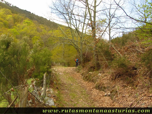 Sendero en Allande