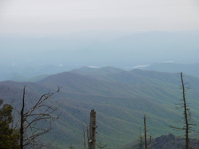 High Pointing USA: (AL-FL-SC) Tennessee: Clingmans Dome (-GA)