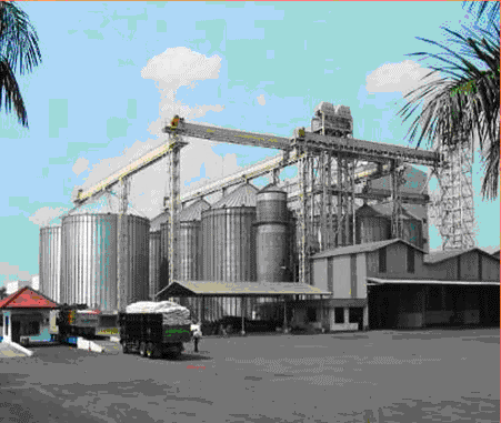 3 Pabrik Pakan Ternak Terbesar Di Indonesia