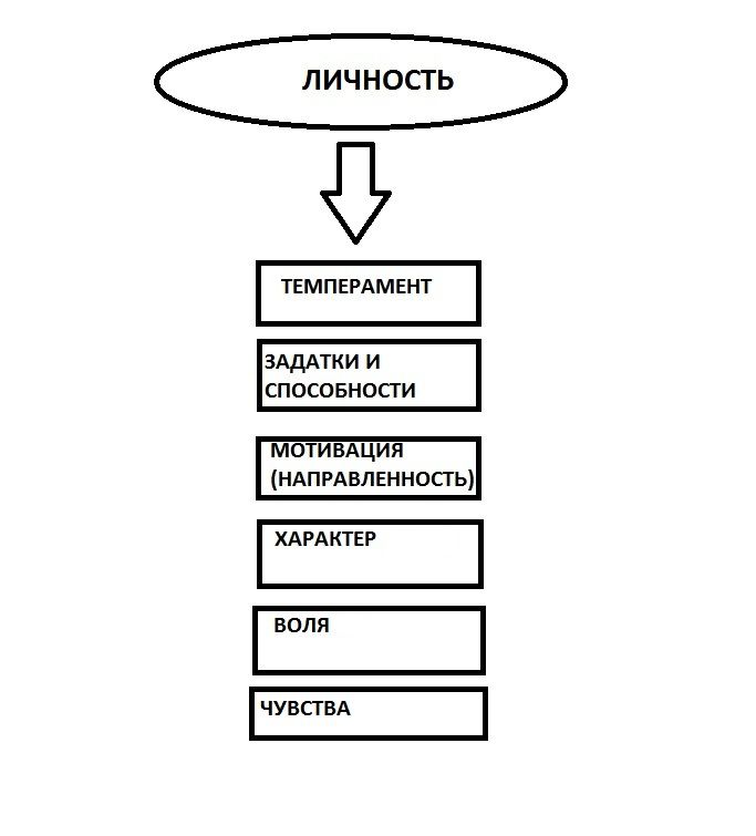 Задатки и темперамент человека