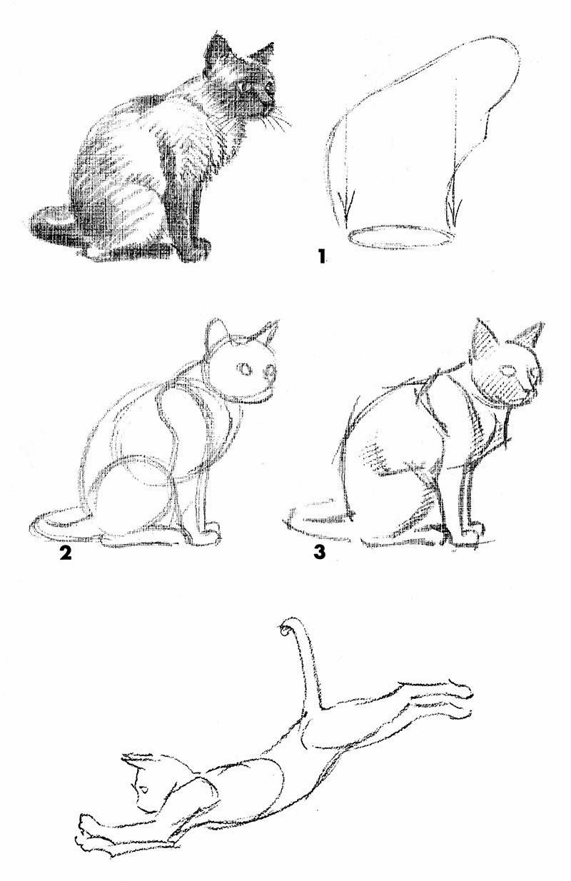 Draw Animals Using Shapes - Vrogue