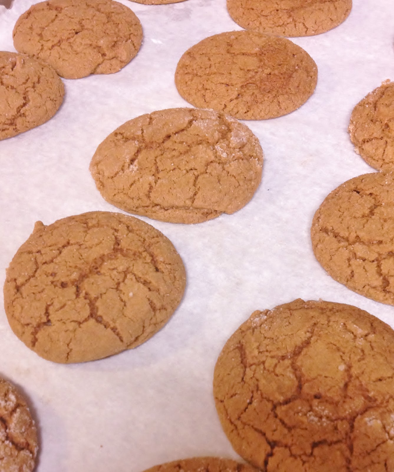 Jackie Likes to Eat Chewy Ginger Cookies