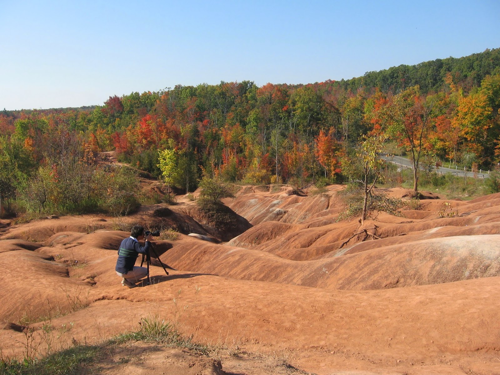 Fibre Art by Mary Katherine Hopkins: Red Rocks in Cheltenham Ontario