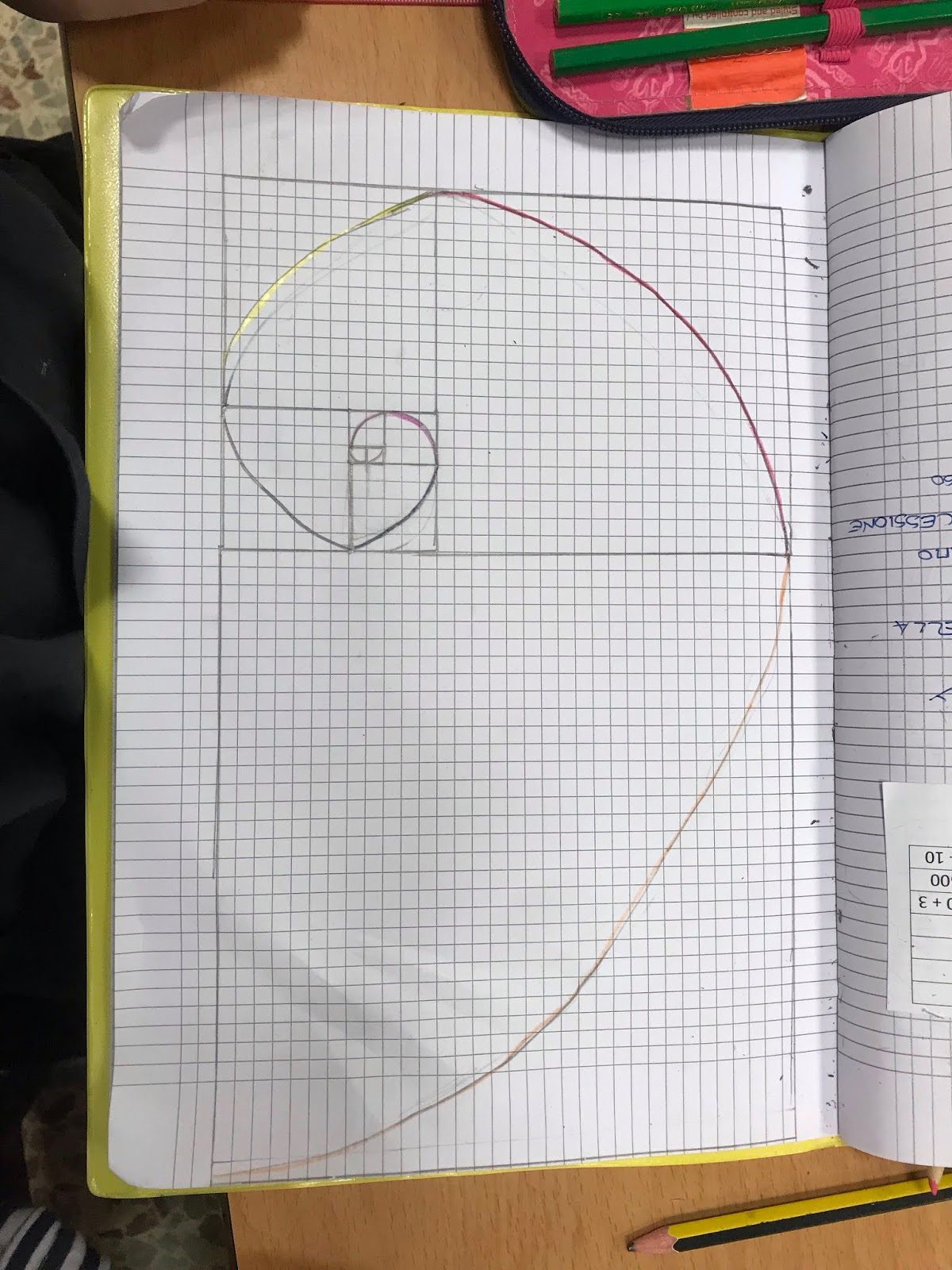 Il Fibonacci Day e la spirale "magica"!