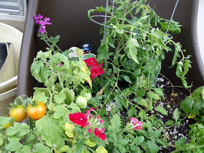 brown mellow picked walmart had