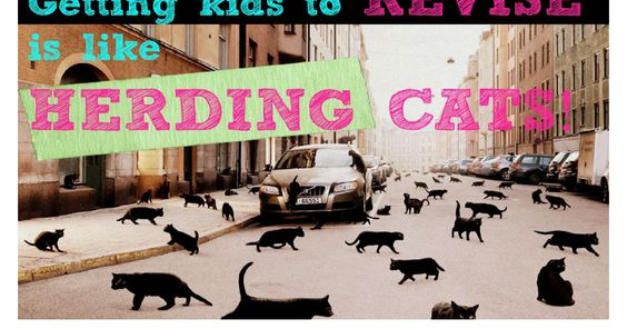 hi i like cats essay Essay on cat behavior they like routines and certainties just like cats hi there my cat is missing for a week and a bit i don’t understand why he is a. hi i like cats essay Essay on cat behavior they like routines and certainties just like cats hi there my cat is missing for a week and a bit i don’t understand why he is a.