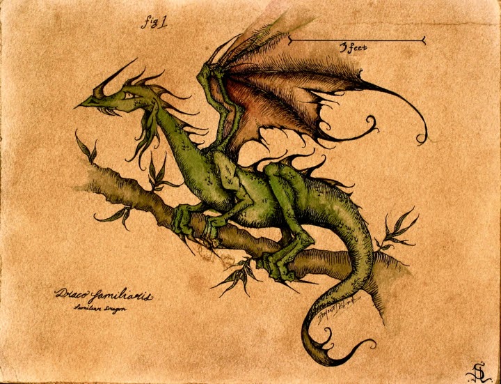  Sketches of Biological Mythology AP Art Portfolio 2001 