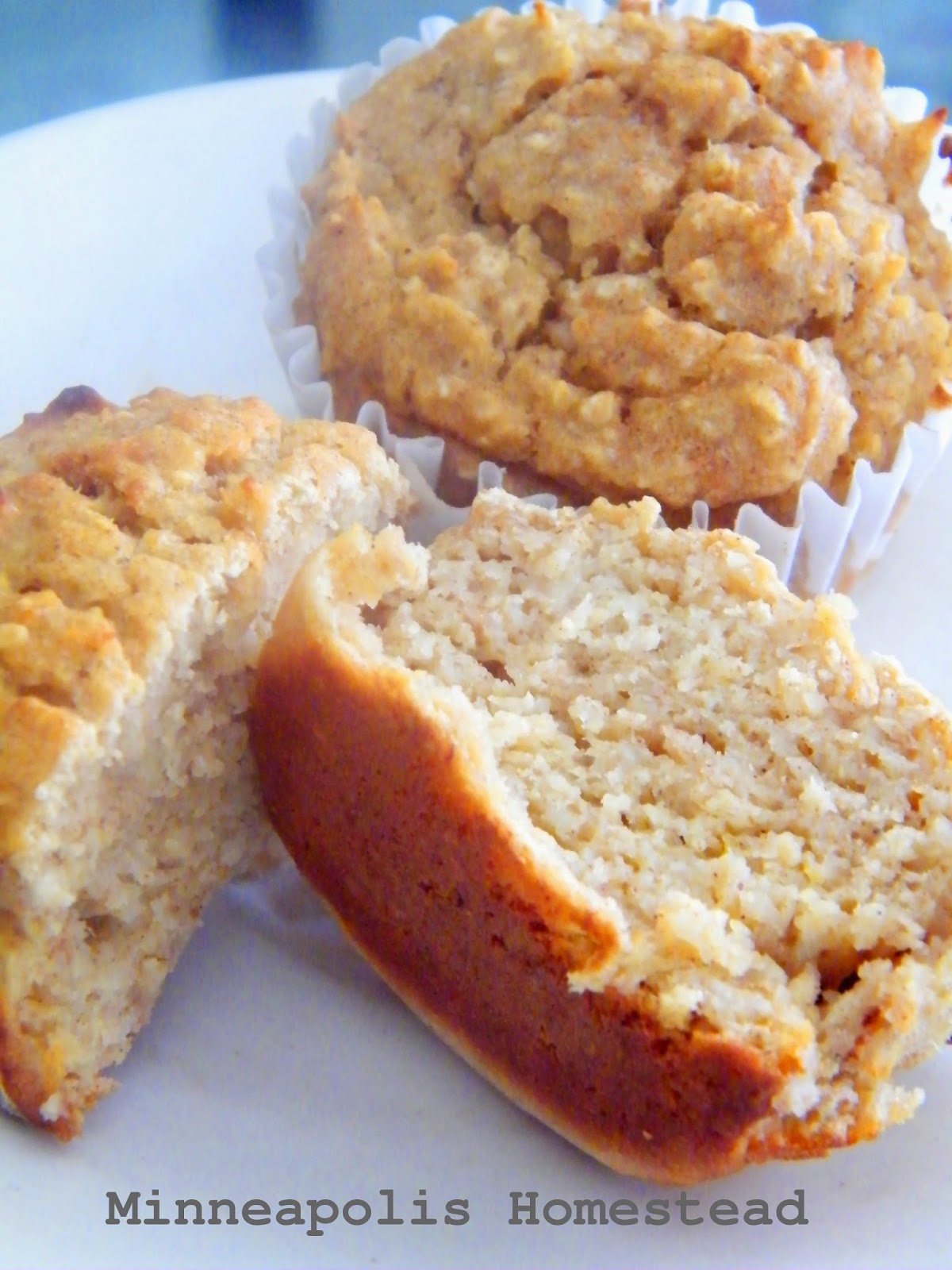 Healthy Pumpkin Muffins Low Sugar and Fat,High Protein and Fiber