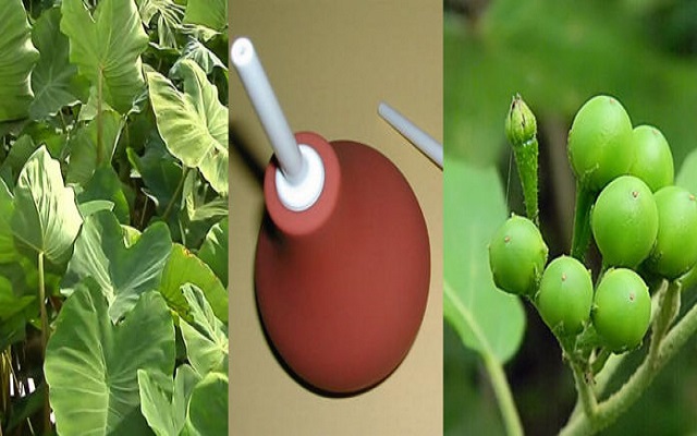 English Names For Local Ghanaian Stuff You Never Knew Ghana Homepage News Entertainment Politics Fm Radio Stations