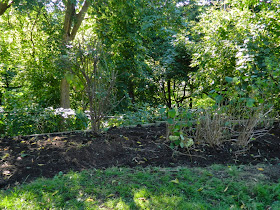 Baby Point garden cleanup Toronto after Paul Jung Gardening Services