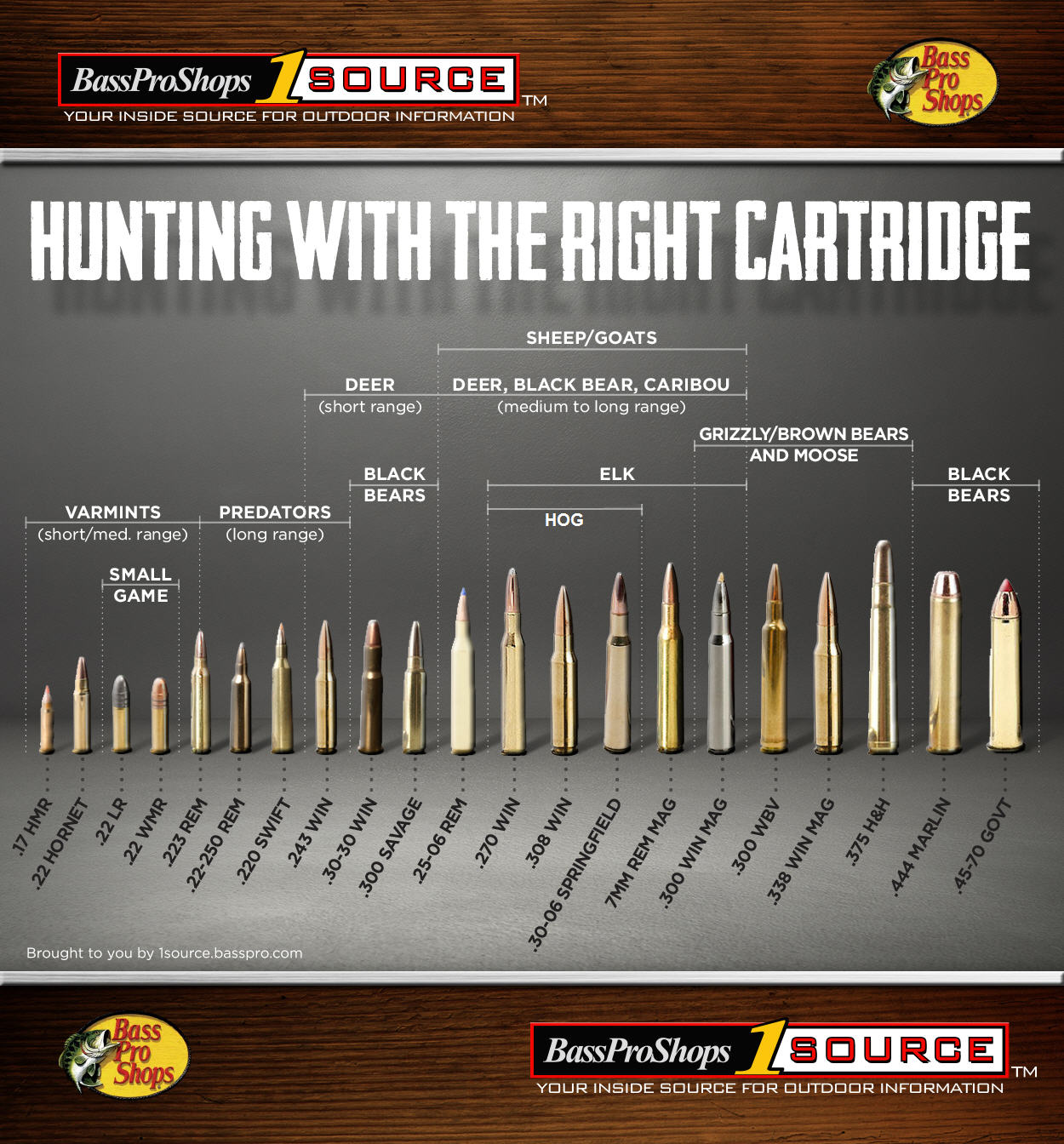 Bullet Cartridge Chart