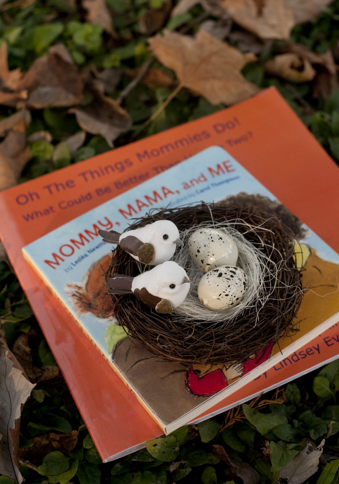 2 Birds Building a Nest Foto Friday Pregnancy Photos