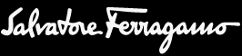 Picture of Ferragamo logo