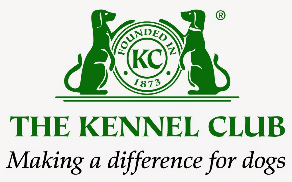 Rules of the Jungle Kennel club puppies