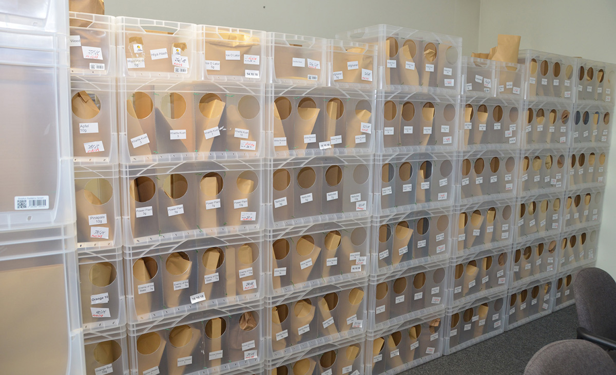 Nrw Aktuell Tv Darknet Dealer Flogen Wegen Unzureichender