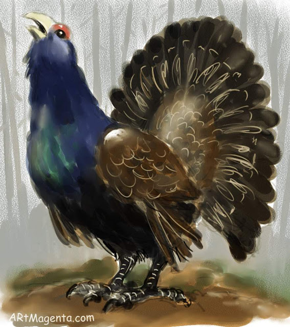 Wood Grouse, a bird sketch by Artmagenta.